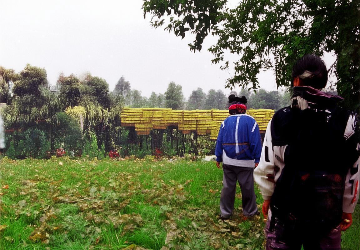 费兰托雷斯：从青训天才到足坛新星，成长之路与未来展望
